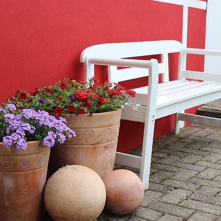 Ferienwohnung Zum Nordlicht Bassum 外观 照片