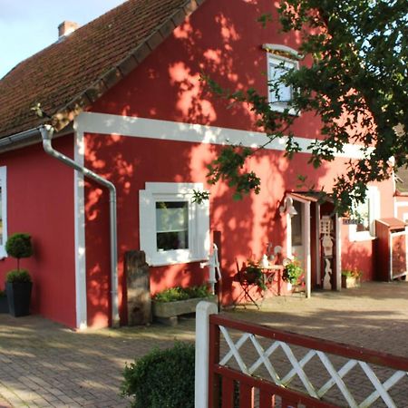 Ferienwohnung Zum Nordlicht Bassum 外观 照片