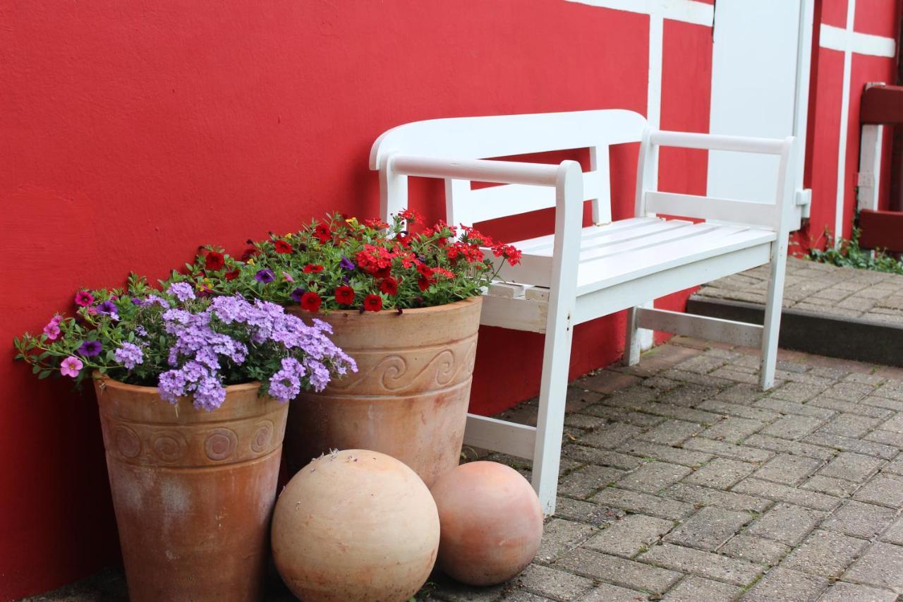 Ferienwohnung Zum Nordlicht Bassum 外观 照片