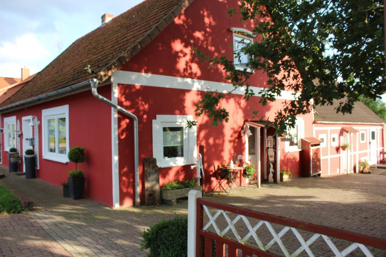 Ferienwohnung Zum Nordlicht Bassum 外观 照片